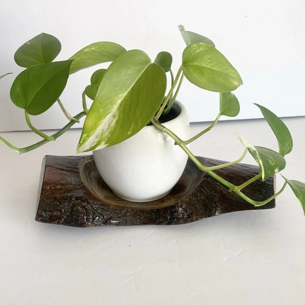 Hand Turned Wooden Bowl Artisan Handmade Live Edge Wood‎ Plant Tray Rustic Art